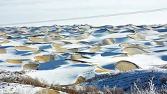 Allt är inte torrt: en fantastisk upptäckt av kinesiska forskare