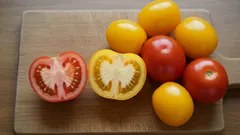Smakskillnaden mellan röda och gula tomater – så påverkar det din matlagning