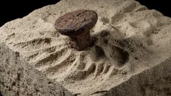 En häpnadsväckande upptäckt har gjorts i Frankrike som inte passar in i den officiella historien.